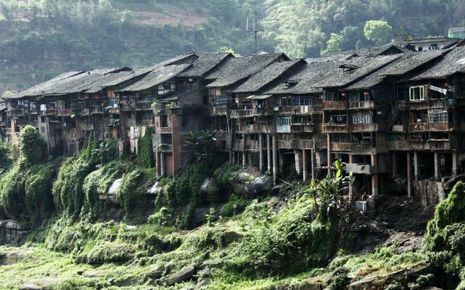小红帽的冒险之旅